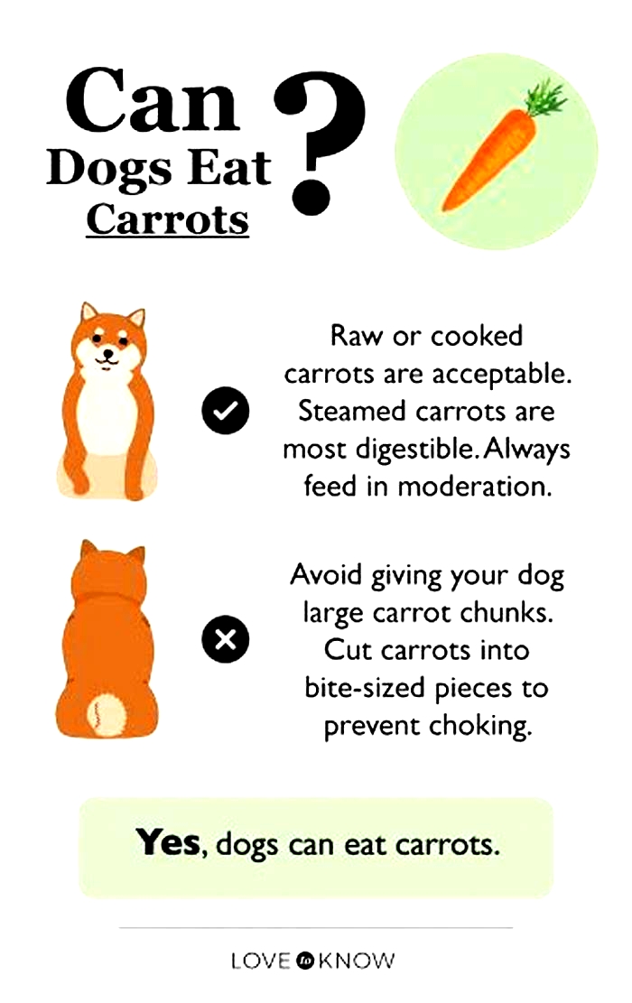 Are carrots good for dogs with allergies?