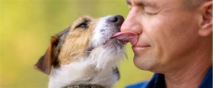 Are dog licks like kisses?