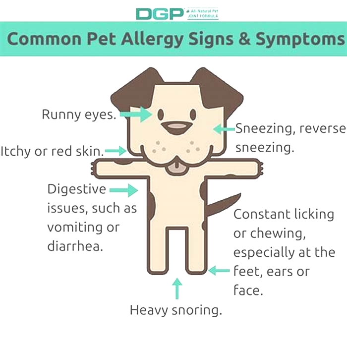 Are pet allergies genetic?