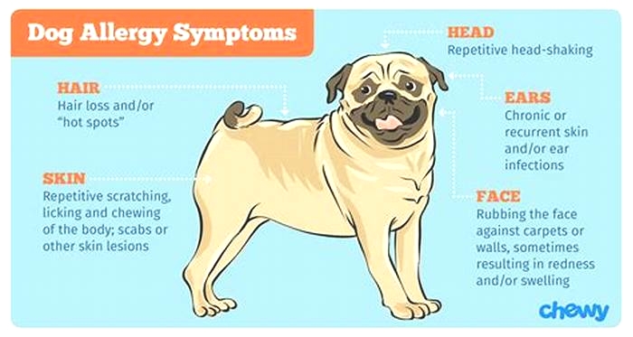 At what age do dogs show allergies?