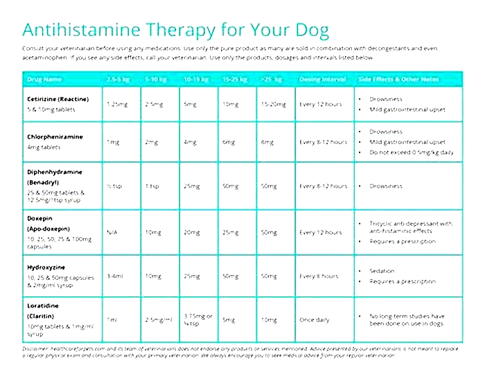 Can I give my dog an antihistamine