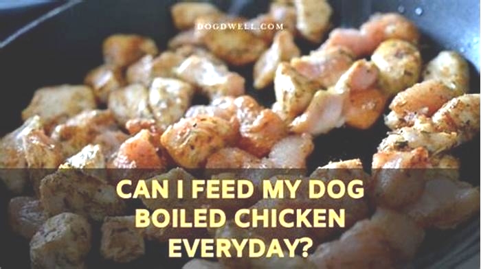 Can I give my dog boiled chicken everyday?