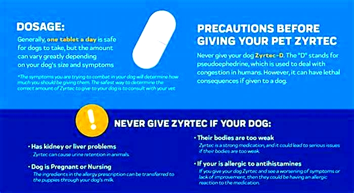 Can I give my dog cetirizine everyday?