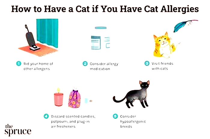 Can I live with a cat if I'm allergic?