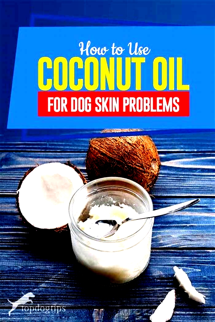 Can I put coconut oil on my dog's hives?