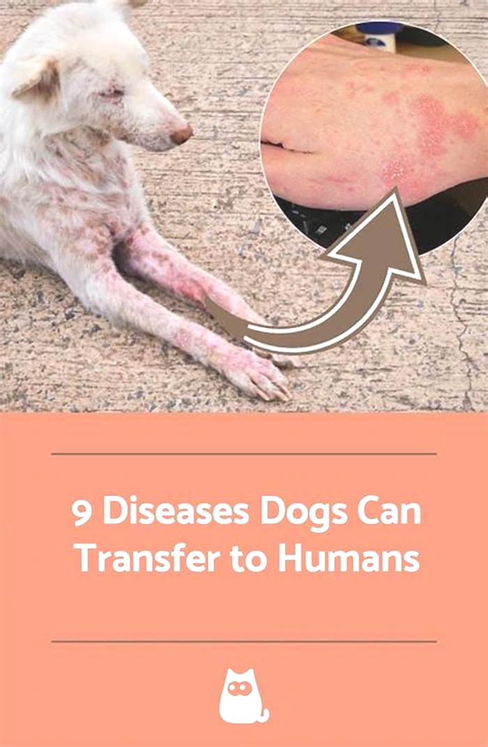 Can a human get a dog disease