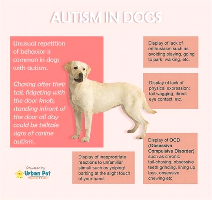 Can dogs be autistic