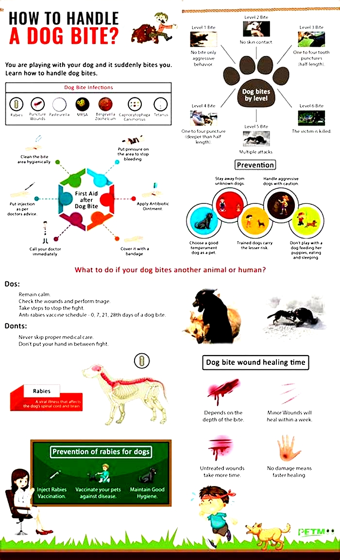 Can dogs bite cause TB?