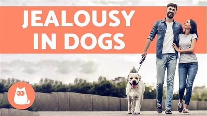 Can dogs feel jealousy