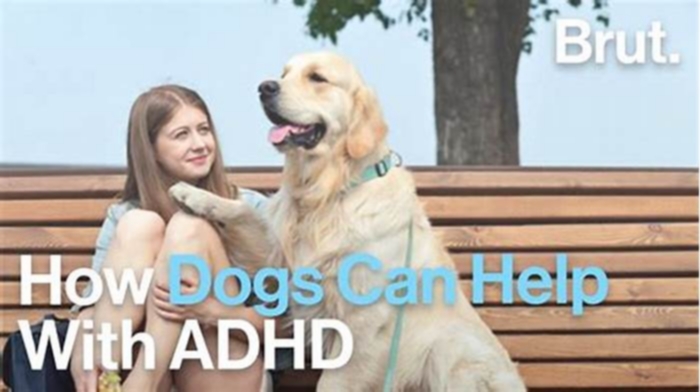 Can dogs get ADHD?