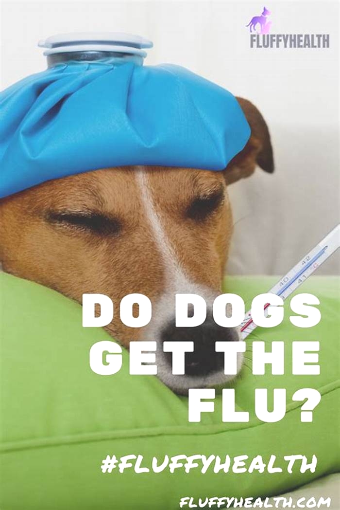 Can dogs get flu