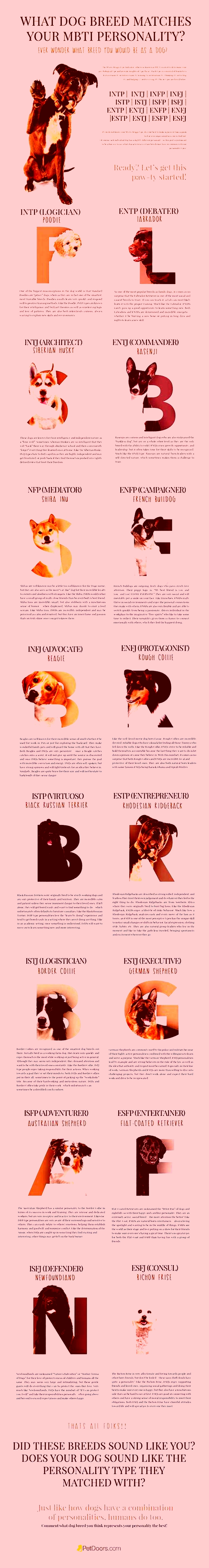 Can dogs have MBTI?