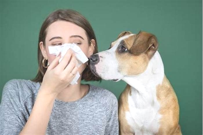 Can you build immunity to dog allergies