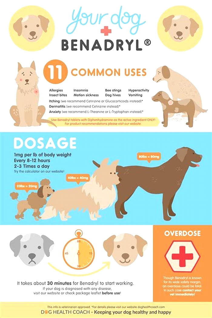 Can you give antihistamines to dogs?