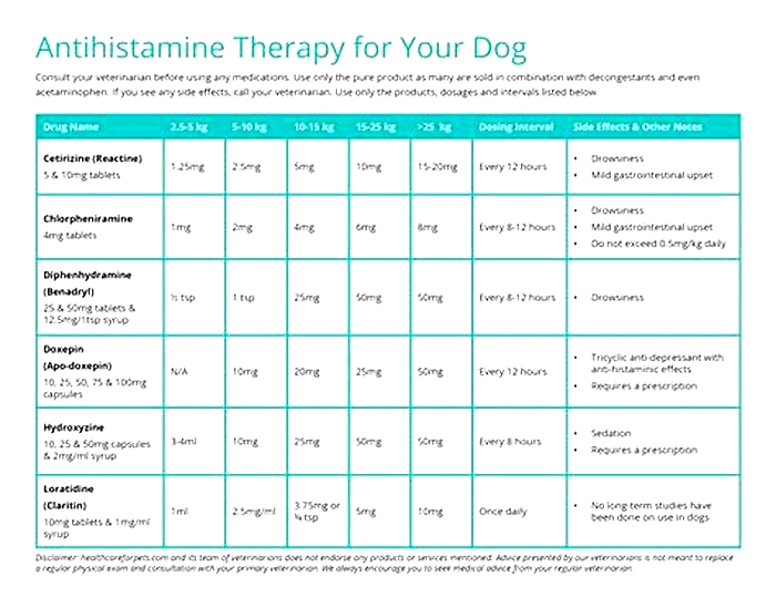 Can you give dogs antihistamines for itching?