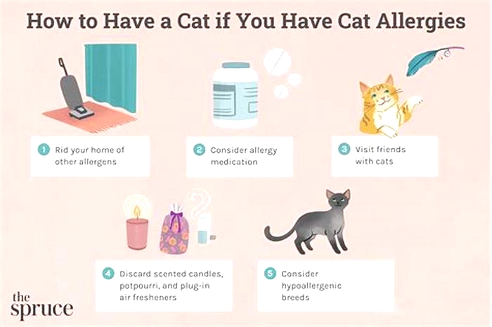 Can you live with a cat if you are allergic?