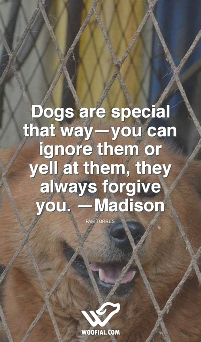 Do dogs forgive you if you yell at them