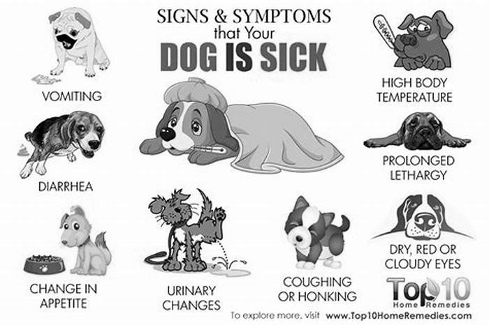 Do dogs get sad when they are sick?