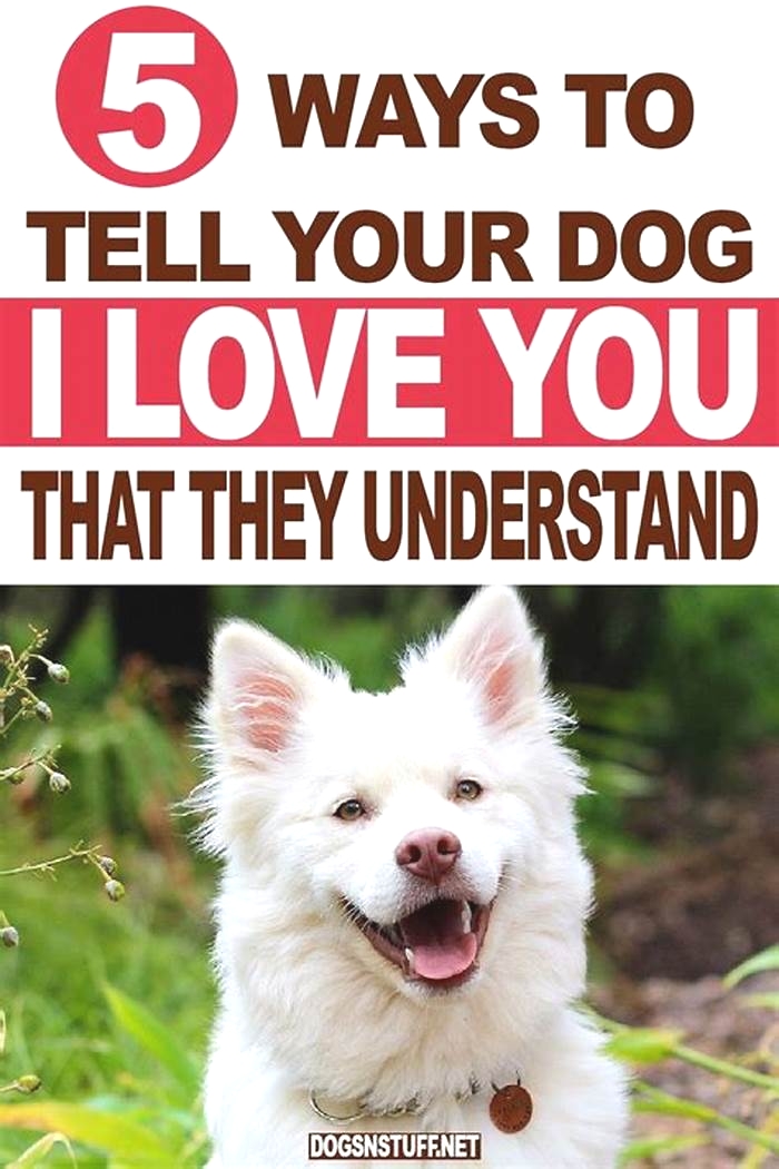 Do dogs know you love them