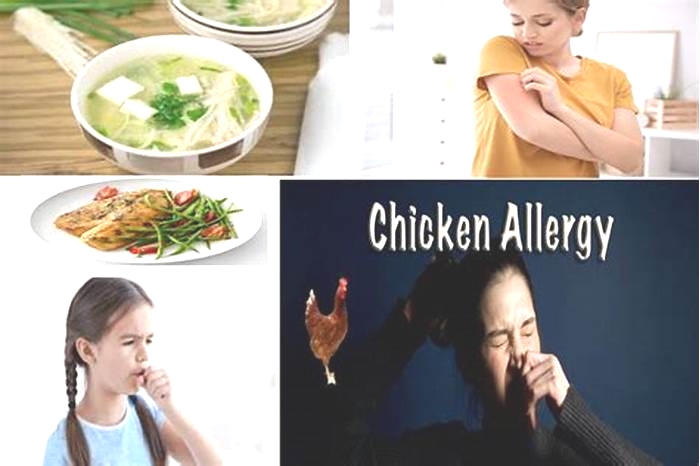 Does chicken meal cause allergies?