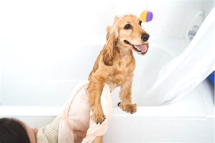 Does dog need bath for itching?