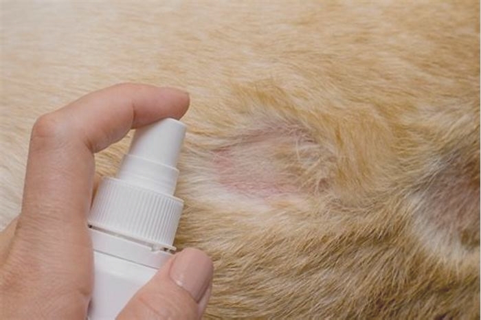 How can I treat my dogs flea allergy dermatitis at home