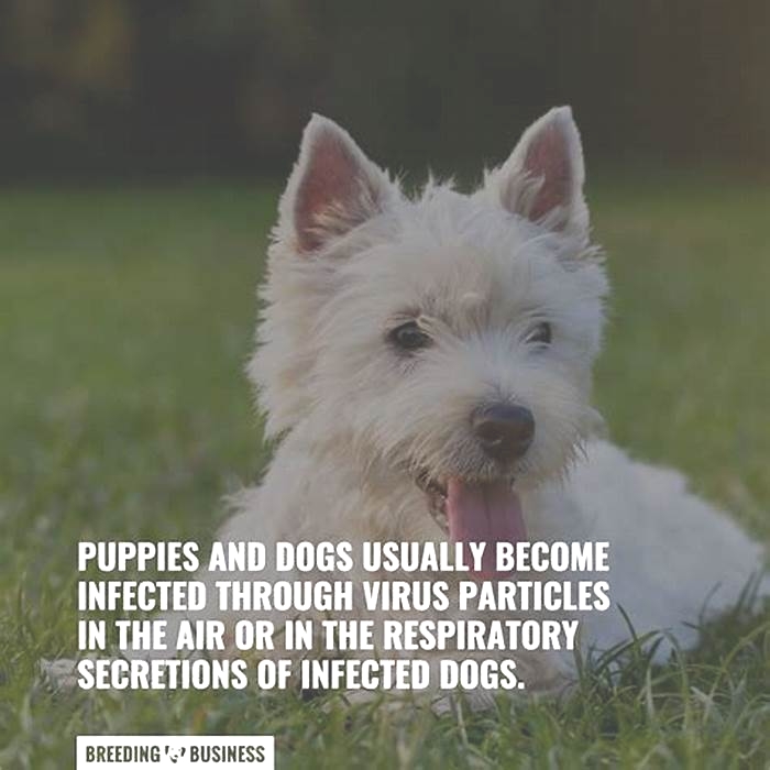 How do I know if my dog has a virus?