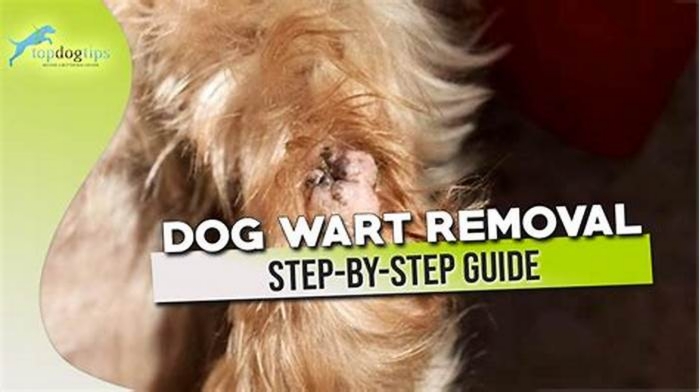 How do you get rid of warts on dogs naturally