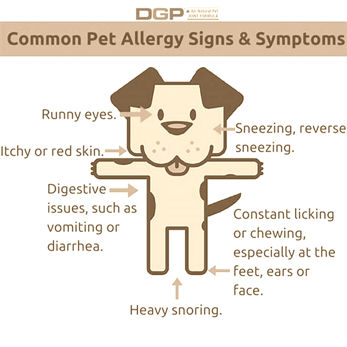 How serious are dog allergies?