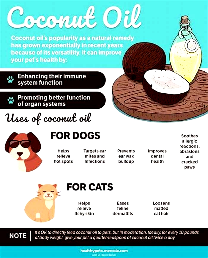 Is coconut oil good for dog warts?