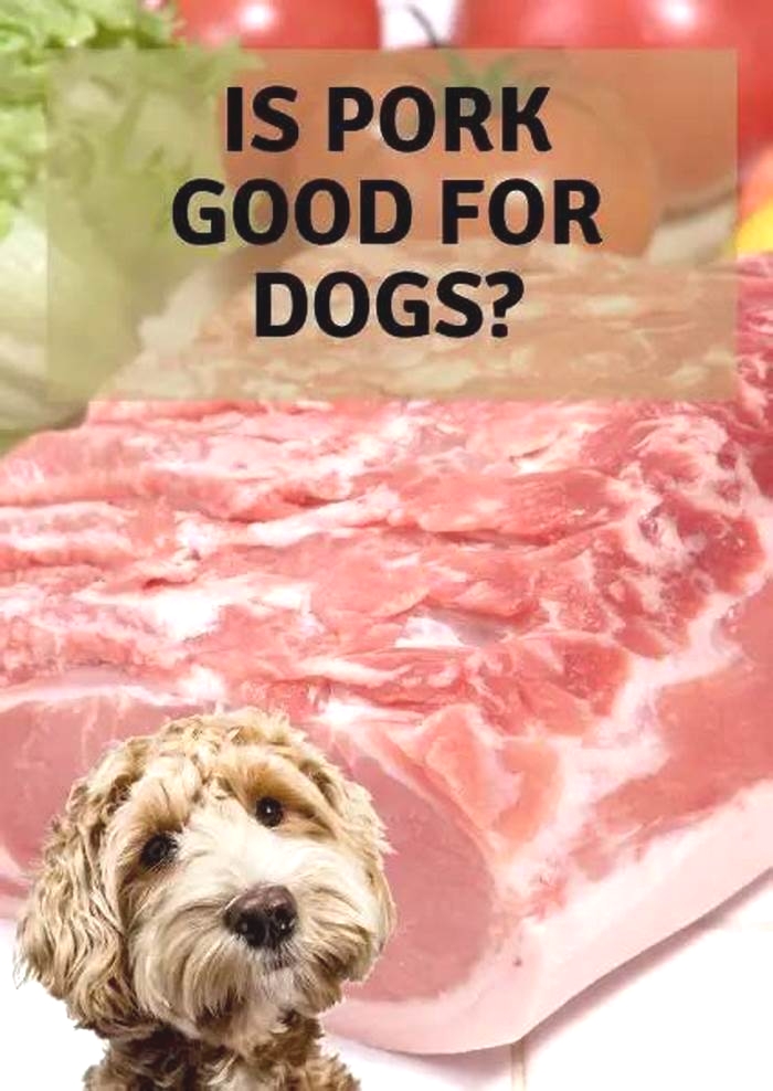 Is pork good for dogs with sensitive skin