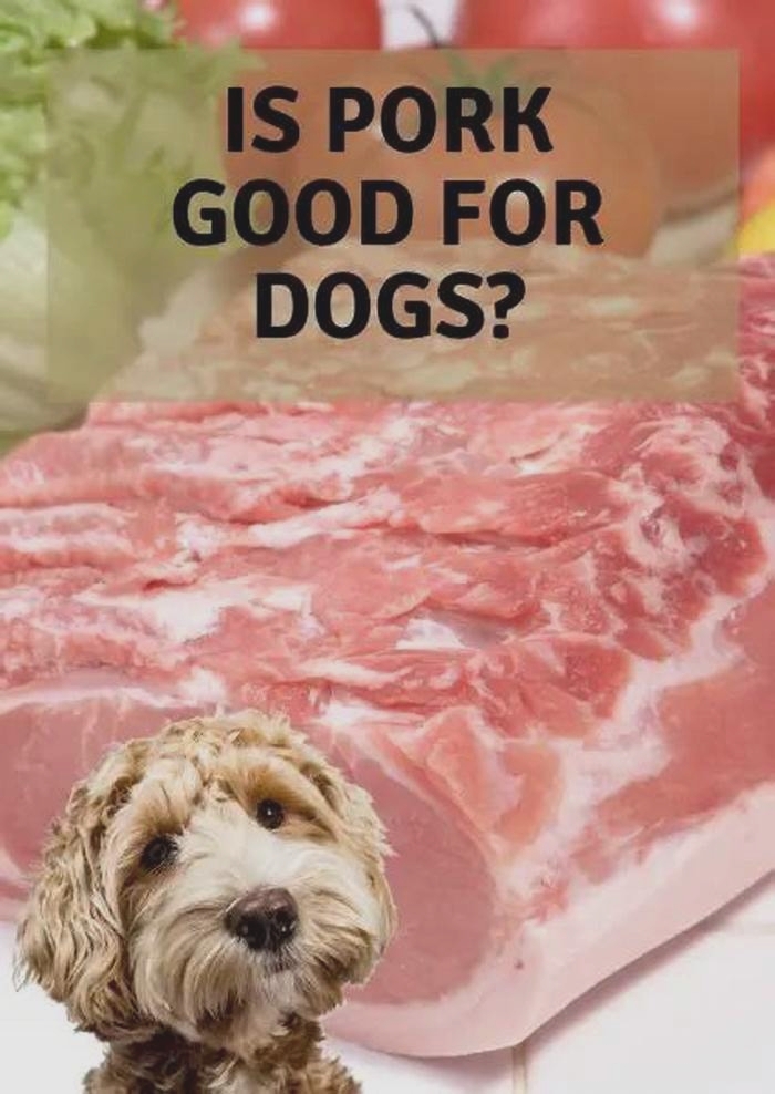 Is pork too rich for dogs