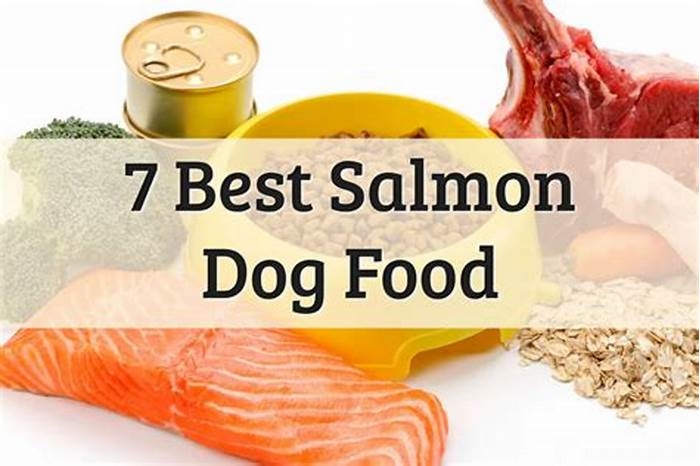 Is salmon good for dogs with allergies?