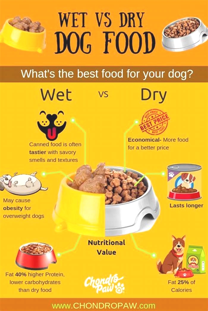 Is wet or dry dog food better for allergies?