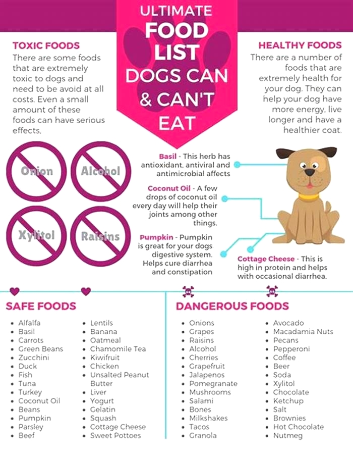 What are 3 foods dogs should not eat?