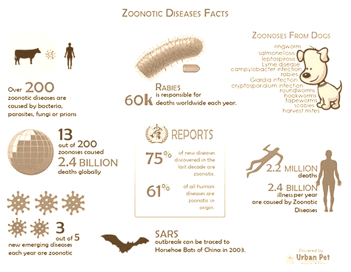 What are 5 examples of animal disease?