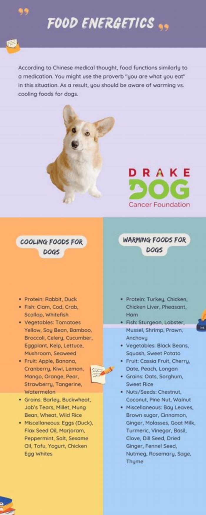 What are cool proteins for dogs with allergies