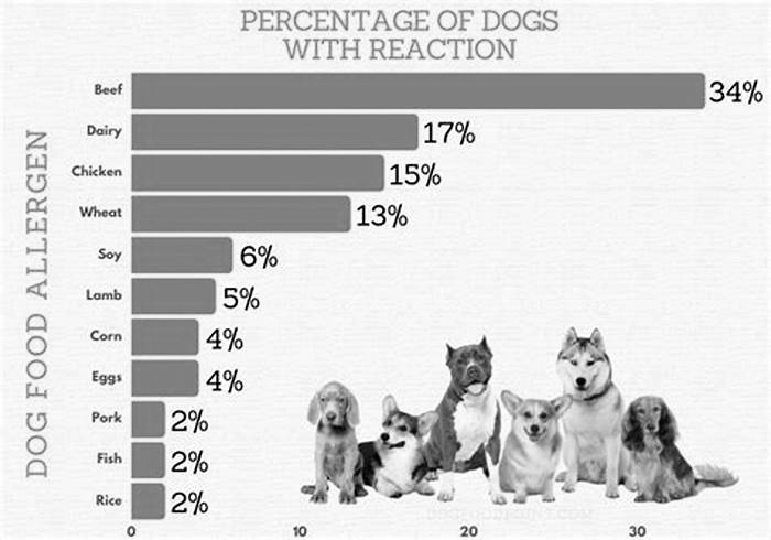 What are the most common food allergies for dogs?