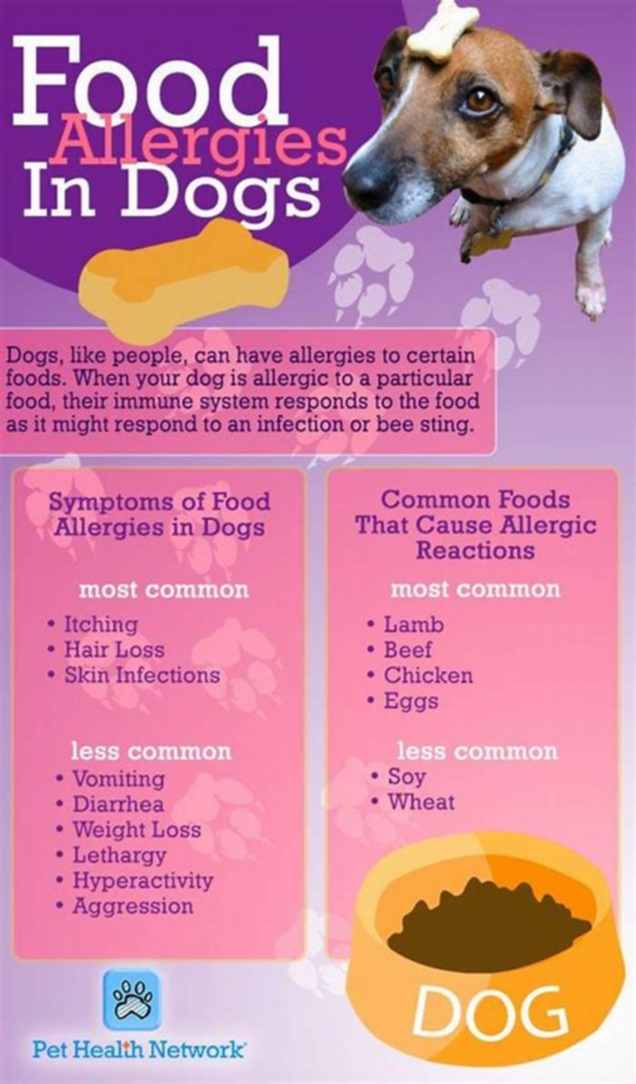 What food to avoid for dogs with allergies?