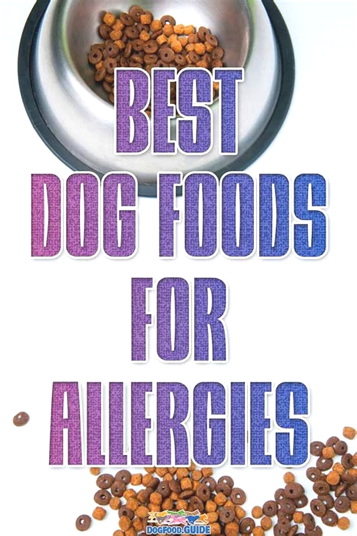 What foods are good for dogs that have allergies