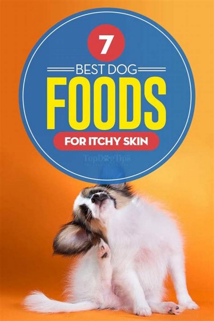 What foods are good for dogs with itchy skin?