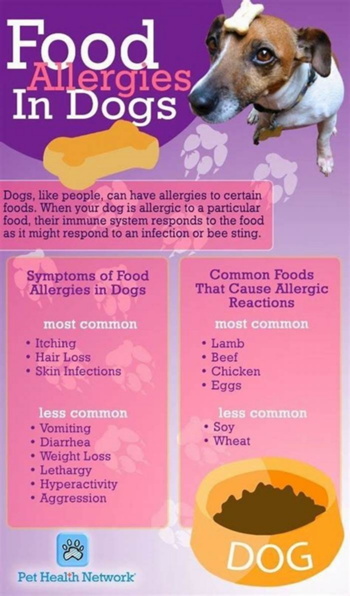 What foods cause skin allergies in dogs?