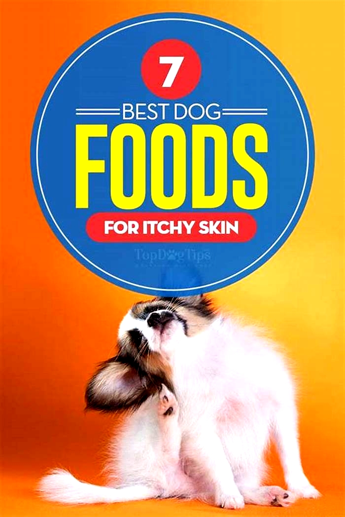 What foods make dogs itchy?