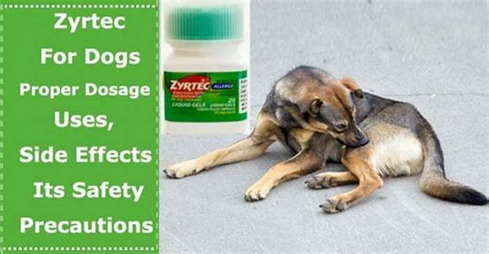 What happens if I give my dog too much cetirizine