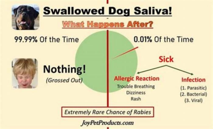 What if dog saliva gets in your mouth