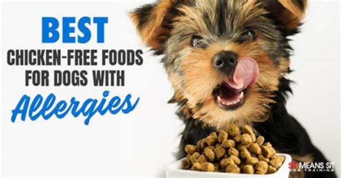 What is a good alternative to chicken for dogs with allergies?