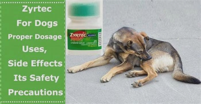 What is cetirizine for dogs used for?