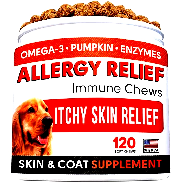 What is the best allergy relief for dogs