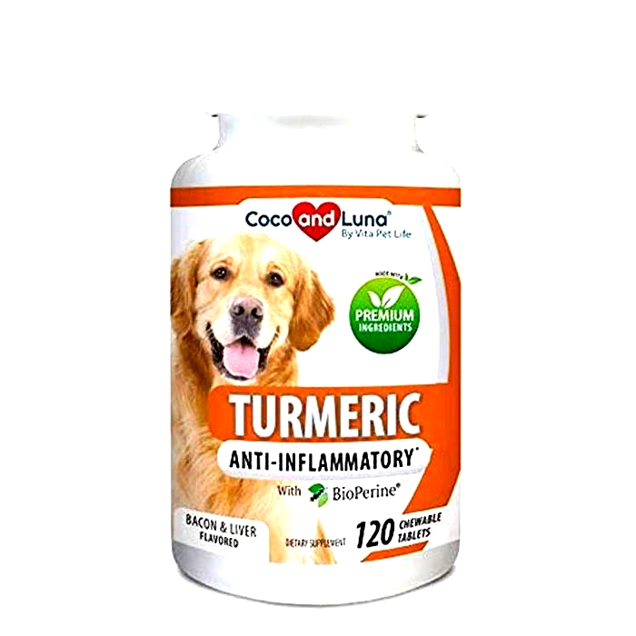 What is the best anti inflammatory for dogs