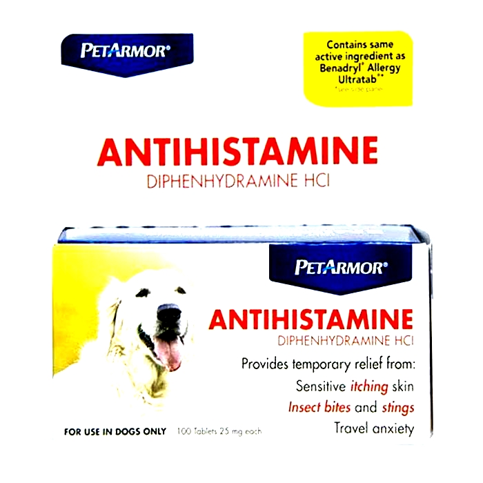 What is the best antihistamine for pet allergies?